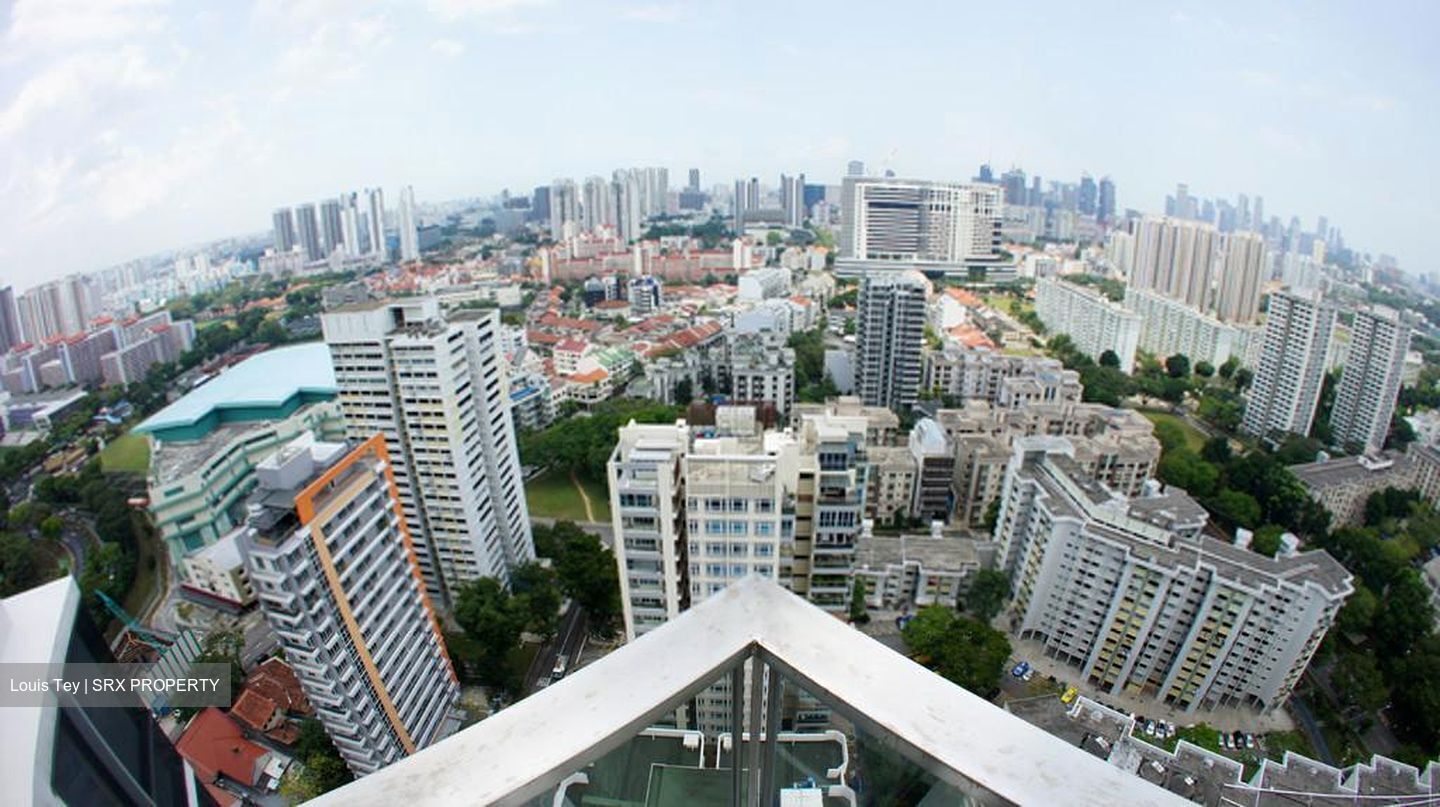 Cityscape @ Farrer Park (D8), Condominium #456514541